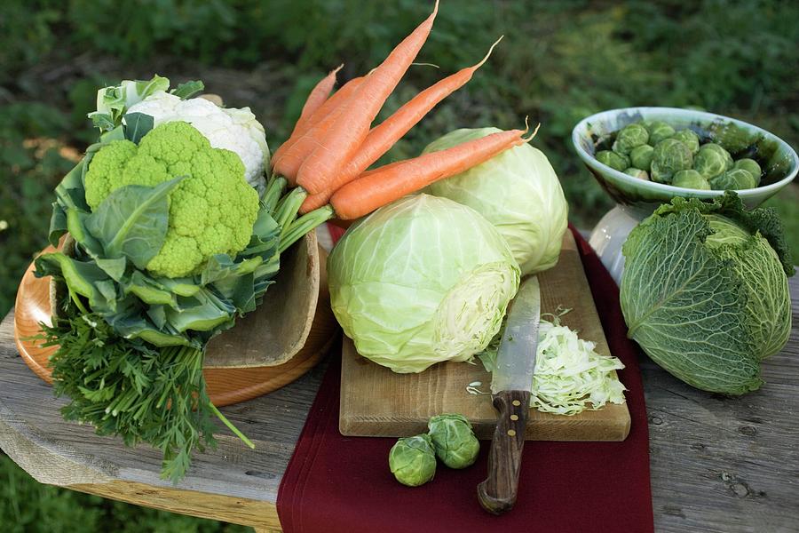 Various Types Of Brassicas And Carrots Photograph by Eising Studio ...