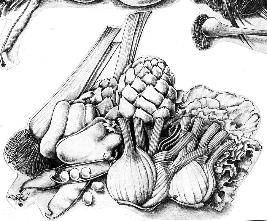 Vegetable Drawing - Vegetables #1 by Arthur Glendinning