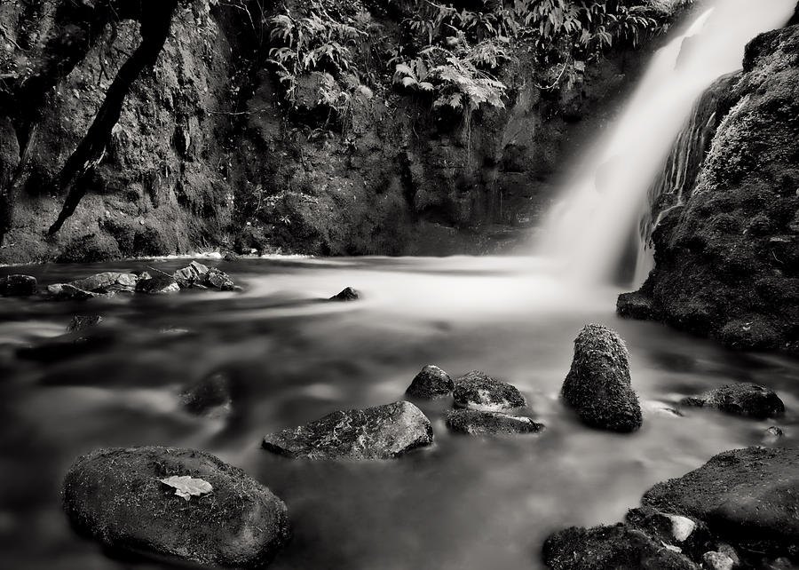 Vennford Brook Waterfall #1 Photograph by Pete Hemington