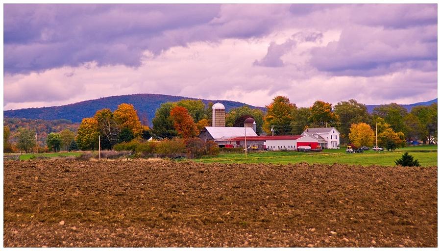 Vermont Dairy Farm. Photograph by Stan Amster