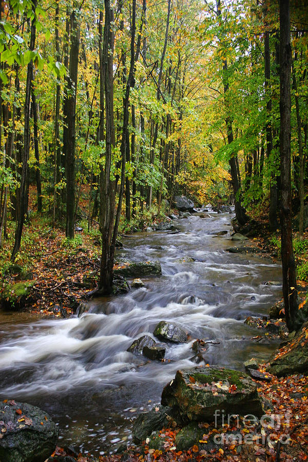 Vermont Stream Photograph by Bobbie Turner