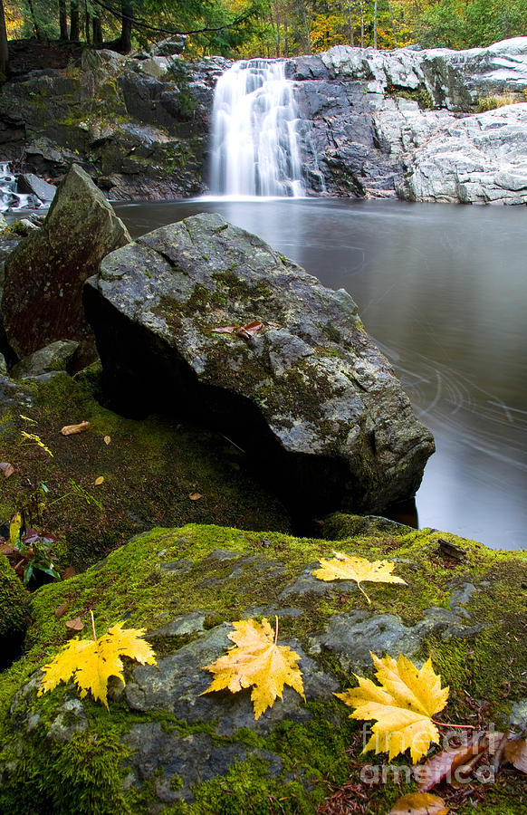 Vermont Waterfall #1 Photograph by Bill Bachmann