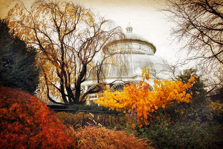 Victorian Autumn #1 Photograph by Jessica Jenney