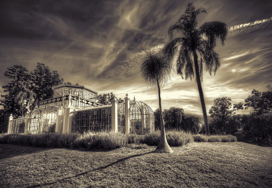 Architecture Photograph - Victorian Palm House #1 by Wayne Sherriff