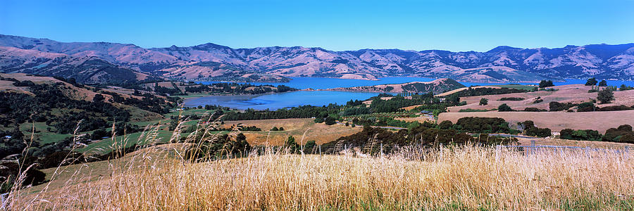 Nature Photograph - View Of A Valley, Akaroa Harbour, Banks #1 by Panoramic Images