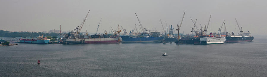View Of Boats At Commercial Dock, Gulf #1 Photograph by Panoramic Images