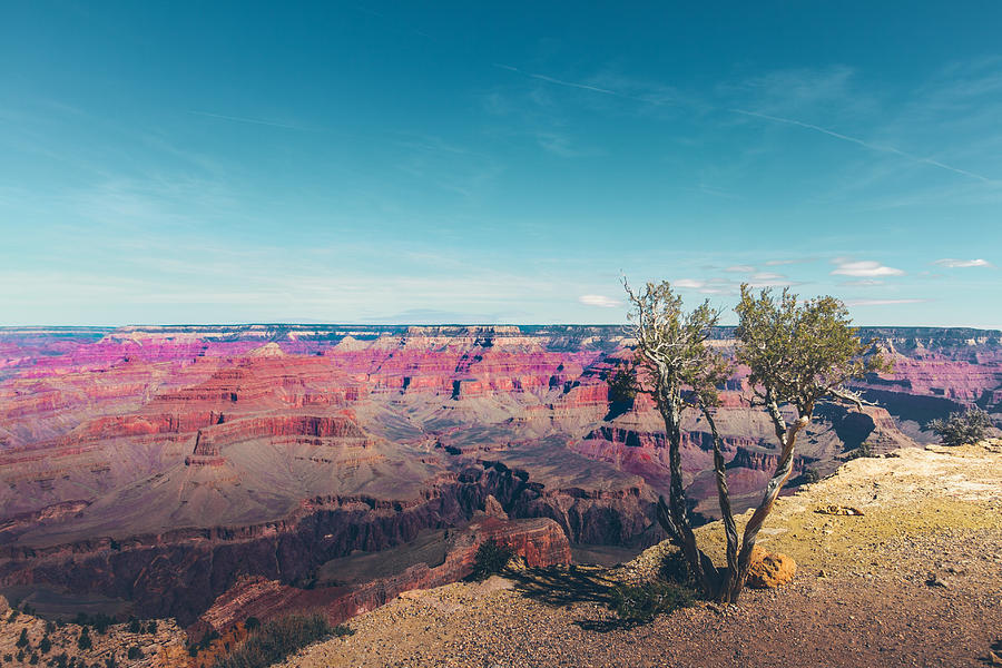 View Of Grand Canyon Photograph