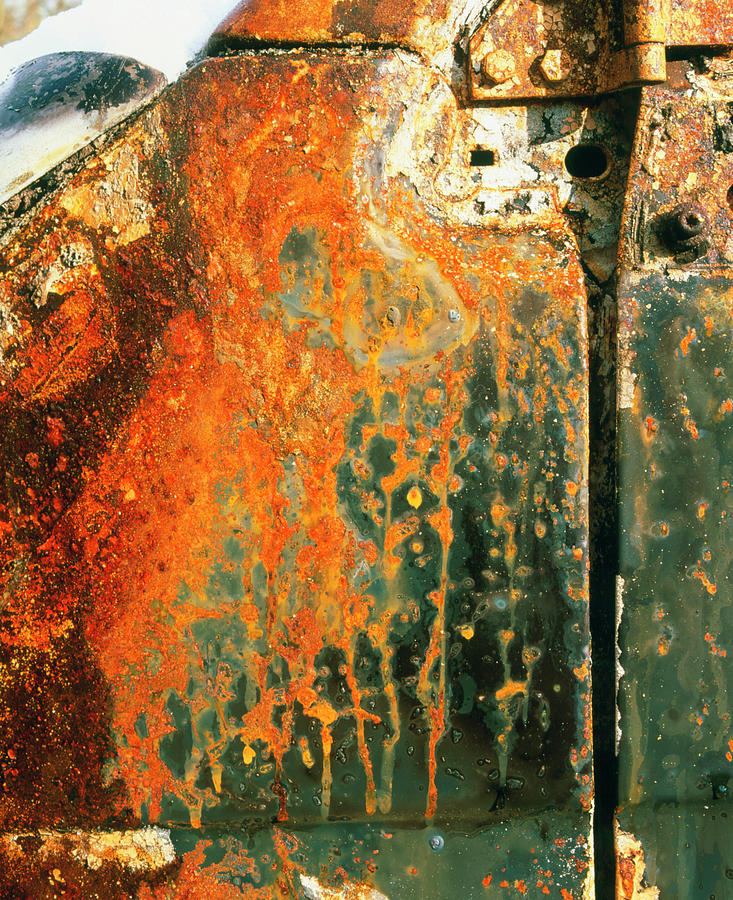 Car Photograph - View Of Rust On The Door Of An Abandoned Vehicle #1 by Martin Bond/science Photo Library