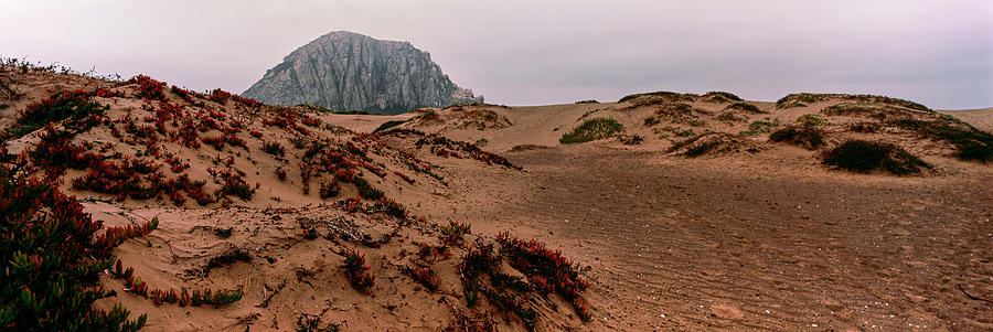 Nature Photograph - View Of Sand Dunes And The Morro Rock #1 by Panoramic Images
