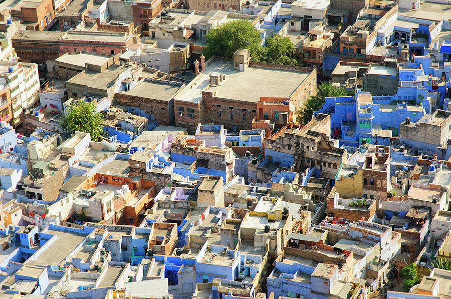 City Photograph - View Of The Blue City Of Jodhpur #1 by Inger Hogstrom