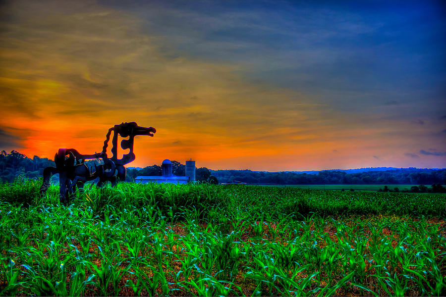 Vigilant- The Iron Horse Cornfield Georgia Farming Agricultural Art Photograph by Reid Callaway