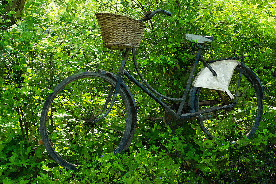 Vintage classical Bicycle against a tree Photograph by Ron Zmiri - Fine ...