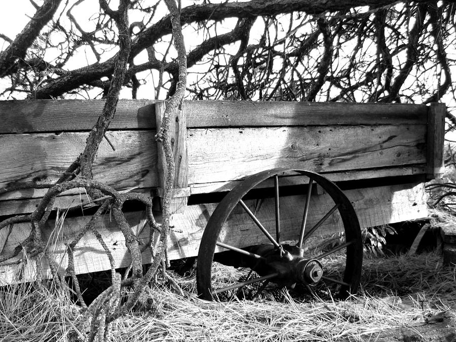 Vintage Farm Wagon #1 Photograph by Will Borden