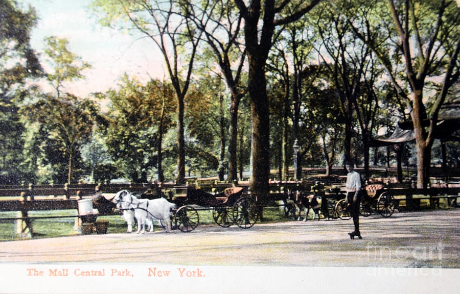 Vintage postcard of people in Central park in 1905 Photograph by Patricia Hofmeester