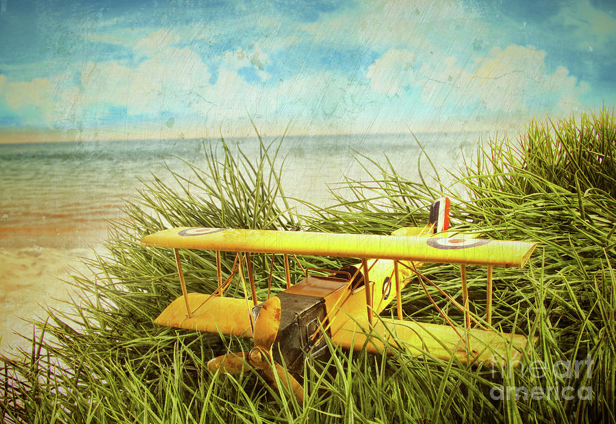 Vintage toy plane in tall grass at the beach #1 Photograph by Sandra Cunningham