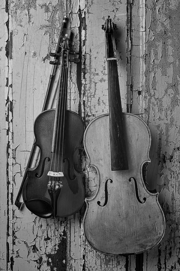 Viola and Violin #1 Photograph by Garry Gay