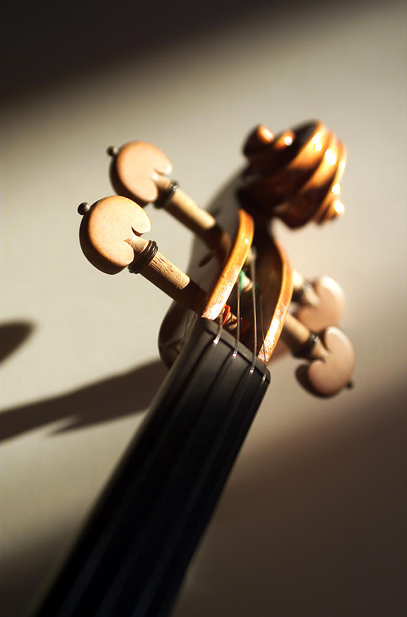 Violin XII Photograph by Jon Neidert