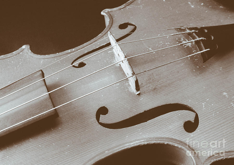 Music Photograph - Violin #1 by Stacy Michelle Smith