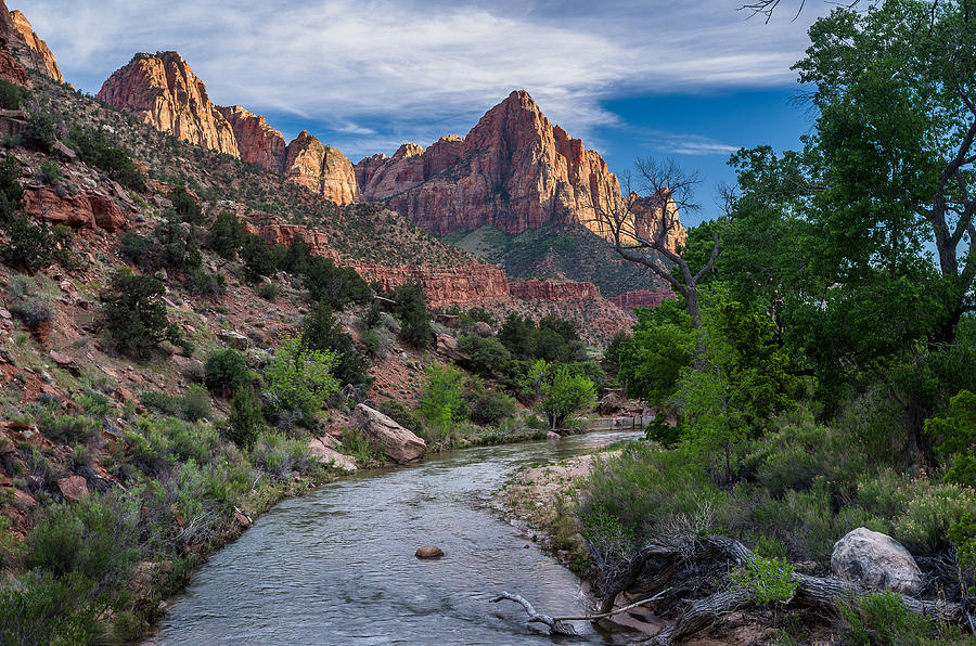 Virgin River and the Watchman #1 Photograph by Greg Nyquist