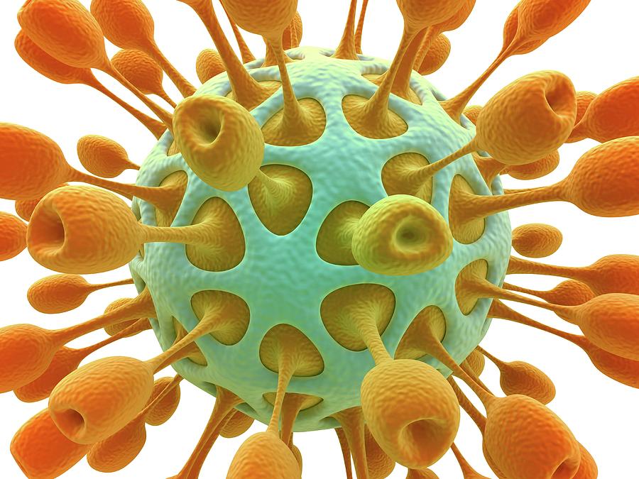 Common Cold Photograph - Virus #1 by Alfred Pasieka/science Photo Library