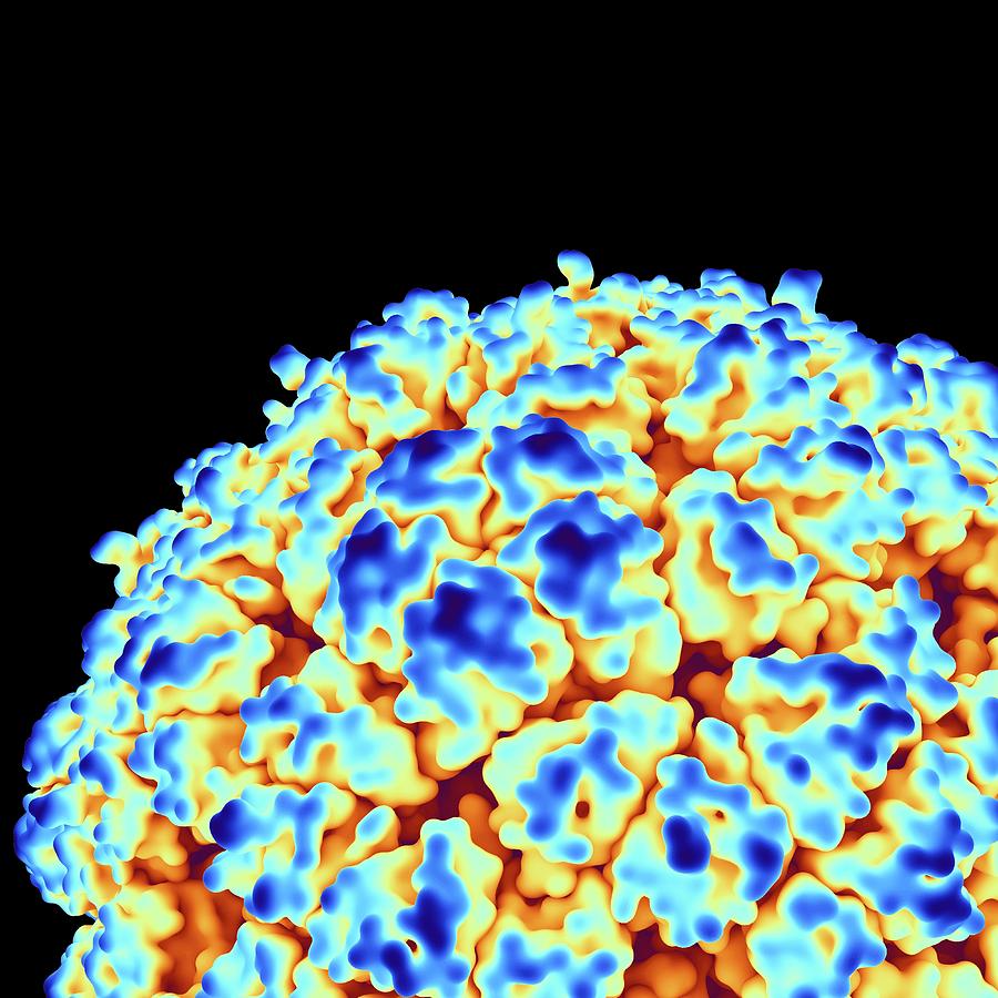 Virus Particle Photograph By Alfred Pasieka Science Photo Library