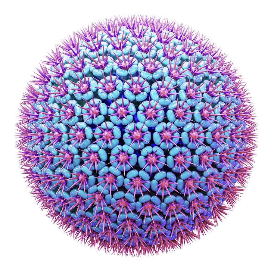 Biological Photograph - Virus Particle #1 by Maurizio De Angelis