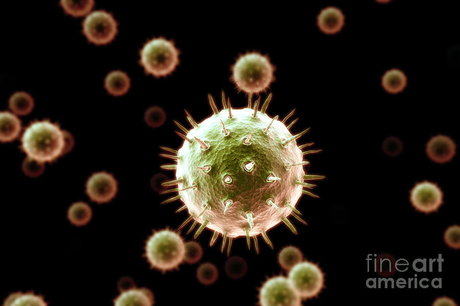 Infection Photograph - Virus Particles #1 by Science Picture Co