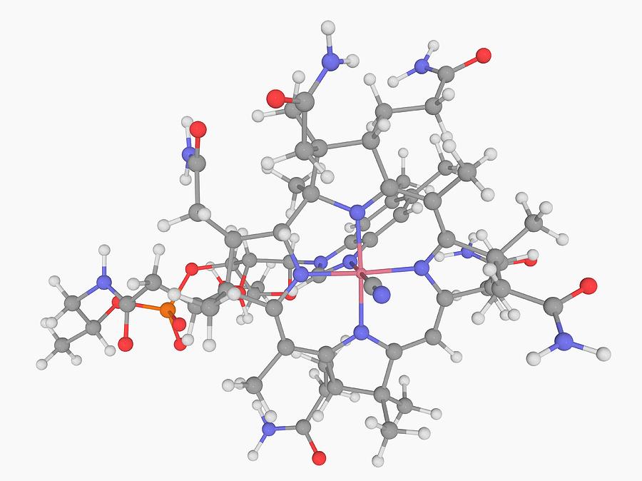 Vitamin B12 Cobalamin Molecule Photograph by Laguna Design/science ...