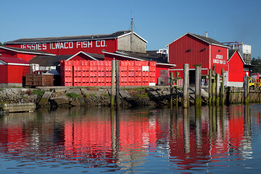 Wa, Ilwaco, Jessie's Ilwaco Fish Co 1 Photograph by Jamie and Judy Wild Pixels