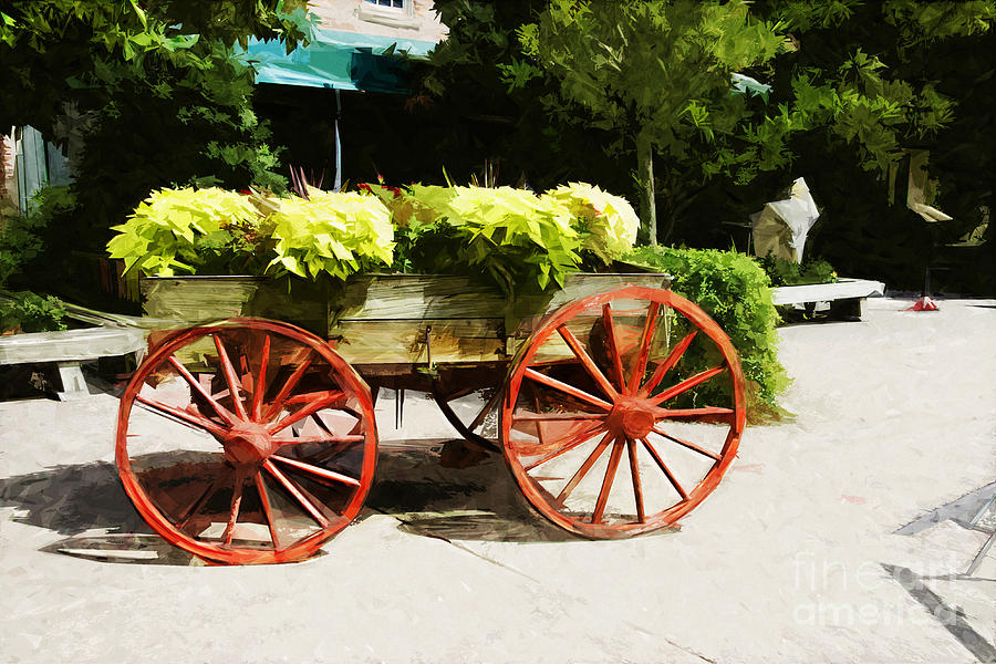 wagon of flowers on Julian Street #1 Photograph by Ules Barnwell