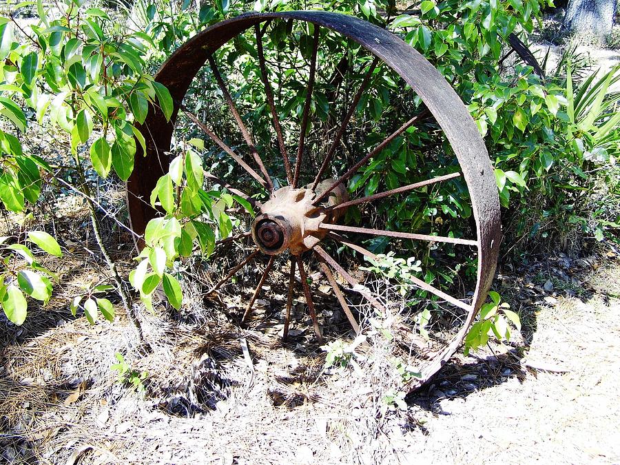 Metal Wagon Wheel Photograph by D Hackett