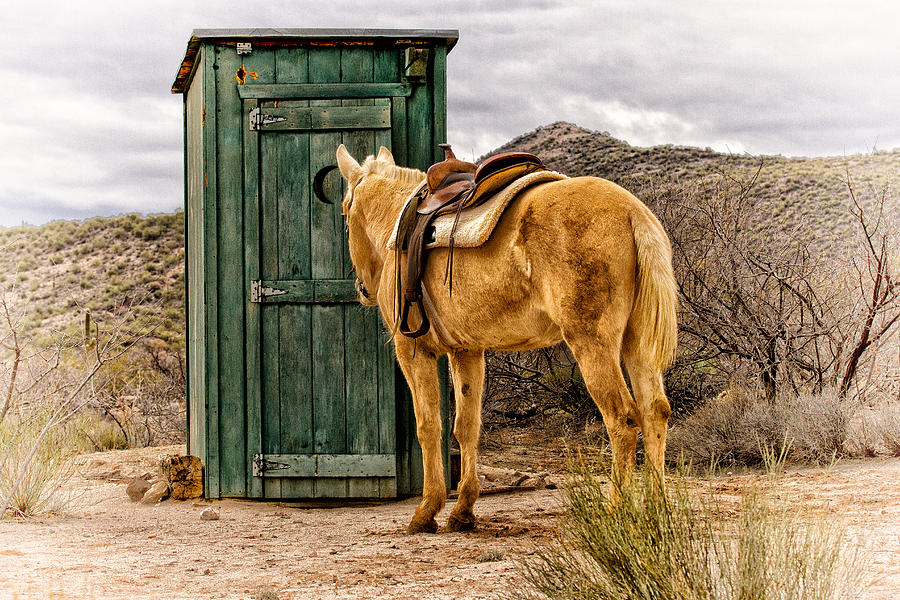 Outhouse Photograph - Waiting by Susan Kordish