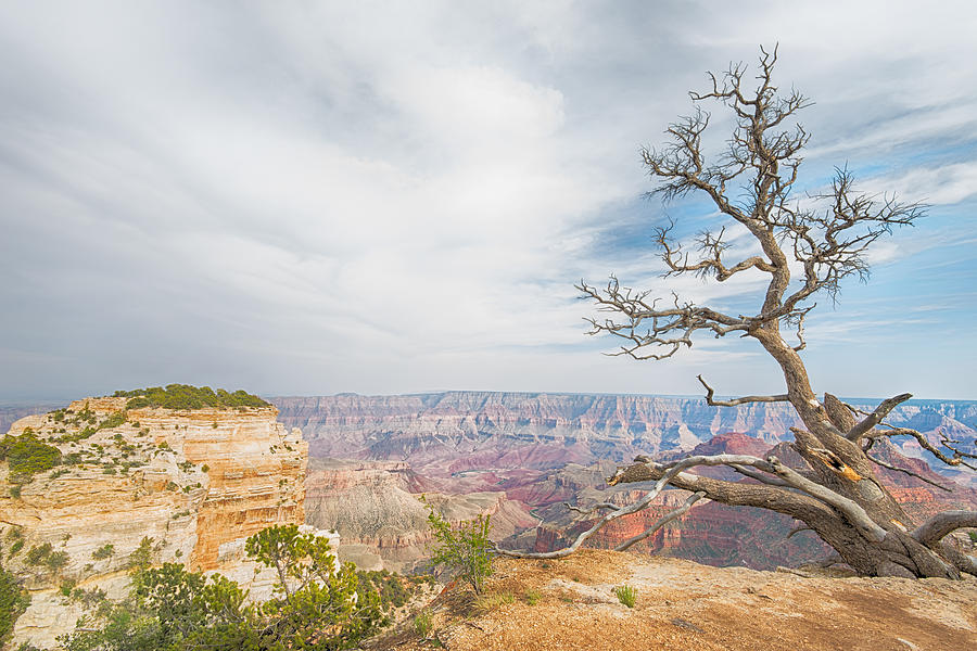 Walhalla Overlook - Grand Canyon National Park - AZ Photograph by Steve ...