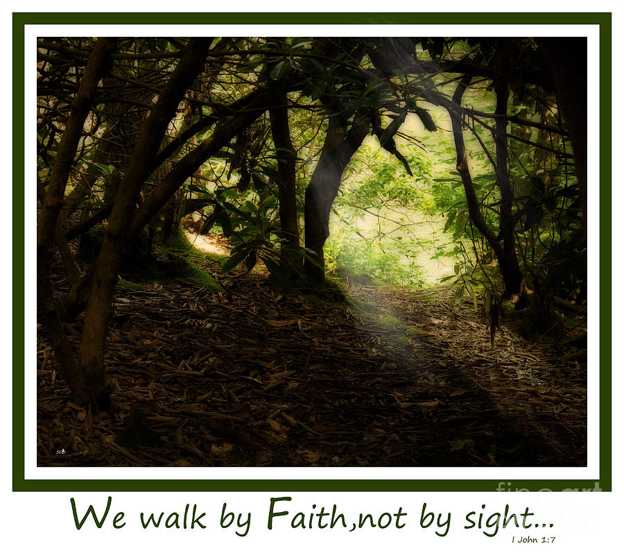 Walk by Faith #2 Photograph by Sandra Clark