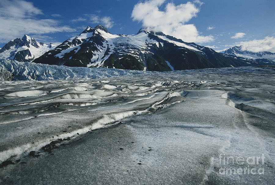 Walker Glacier #1 Photograph by Mark Newman