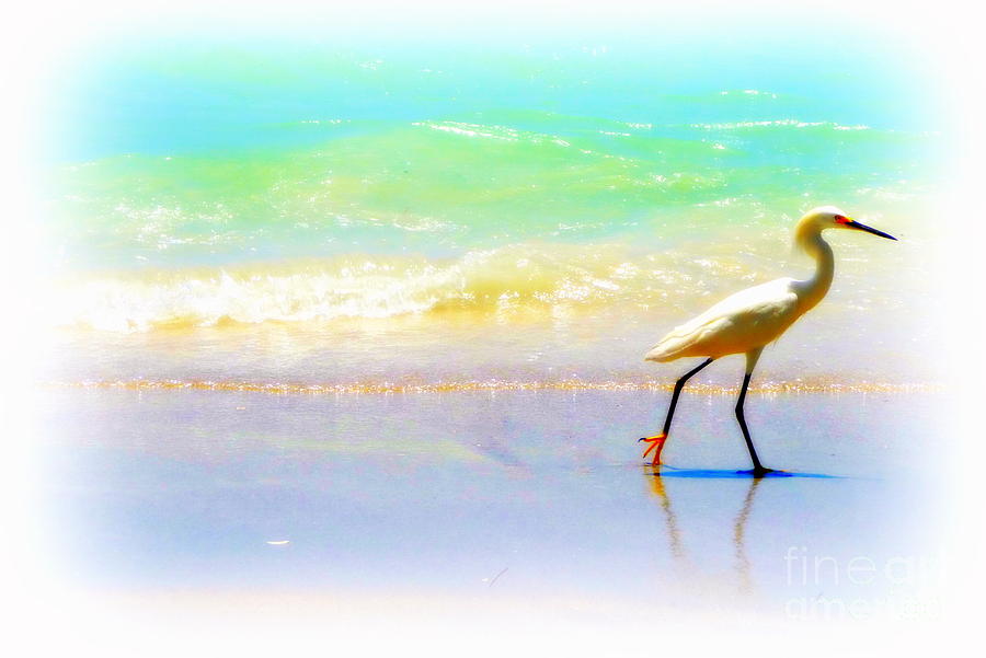 Crane Digital Art - Walking Bird by Valerie Reeves