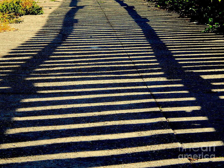 Walking Upon The Shadow Tracks #2 Photograph by Michael Hoard
