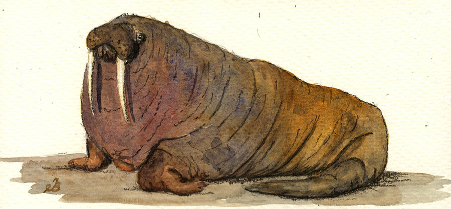 Walrus Painting - Walrus by Juan  Bosco