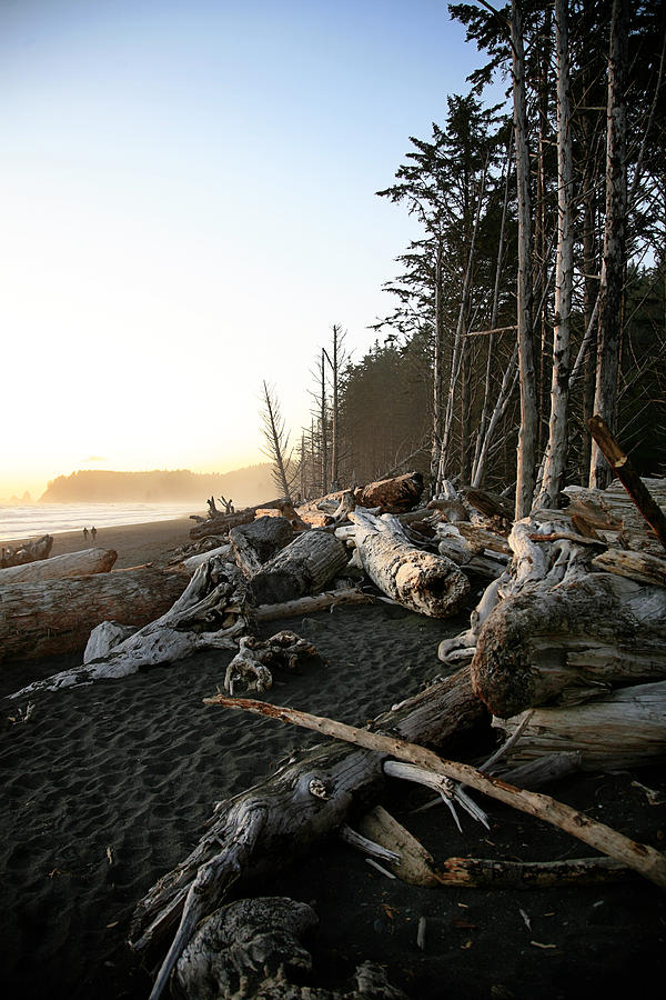 Sunset Photograph - Washington Coast #1 by Jeff Klingler