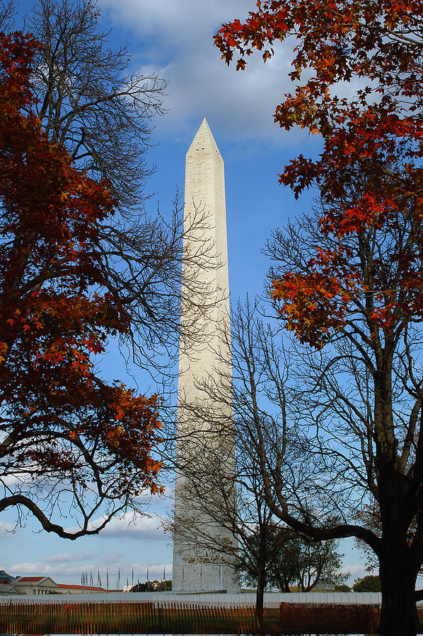 Washington D.C. #1 Photograph by Yue Wang