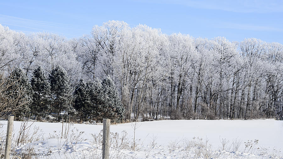 Winter Photograph - Washington Hoar Frost #1 by LeeAnn McLaneGoetz McLaneGoetzStudioLLCcom