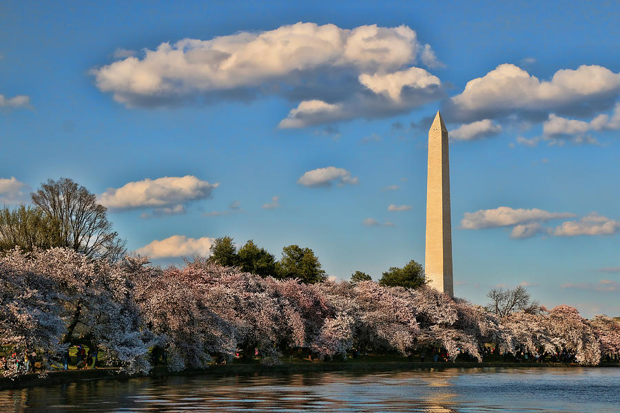 Washington Monument Photograph by Allen Beatty