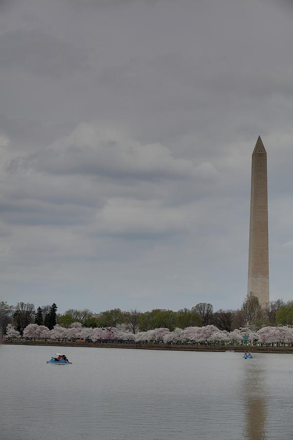 Flower Photograph - Washington Monument - Cherry Blossoms - Washington DC - 01131 #1 by DC Photographer