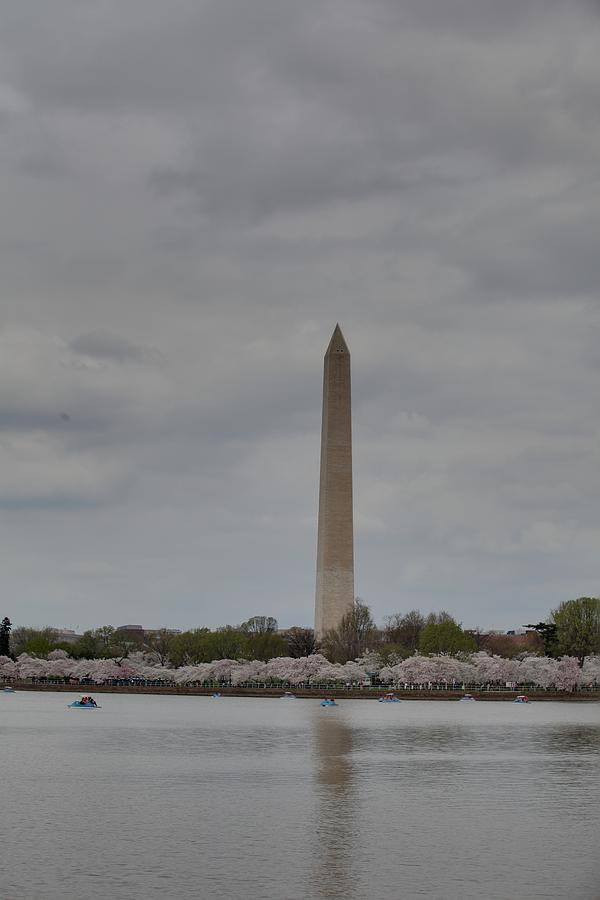 Washington Monument - Cherry Blossoms - Washington DC - 011311 #1 Photograph by DC Photographer