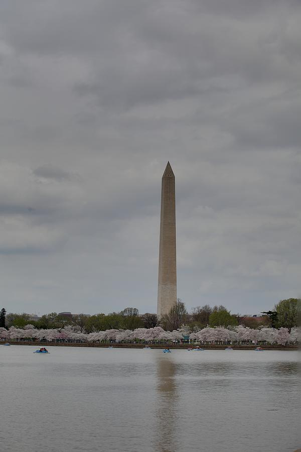 Flower Photograph - Washington Monument - Cherry Blossoms - Washington DC - 011312 #1 by DC Photographer