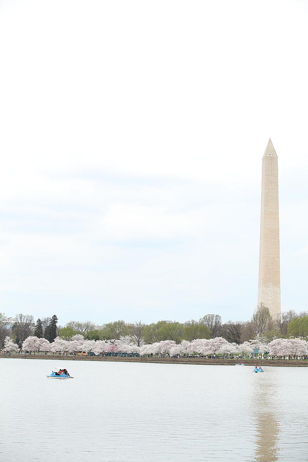 Washington Monument - Cherry Blossoms - Washington DC - 01132 #1 Photograph by DC Photographer