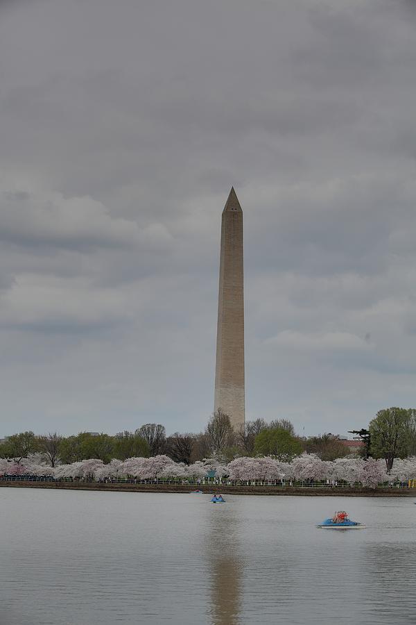Washington Monument - Cherry Blossoms - Washington DC - 01133 #1 Photograph by DC Photographer