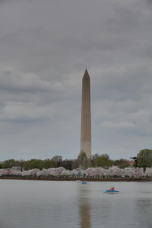 Washington Monument - Cherry Blossoms - Washington DC - 01135 #1 Photograph by DC Photographer