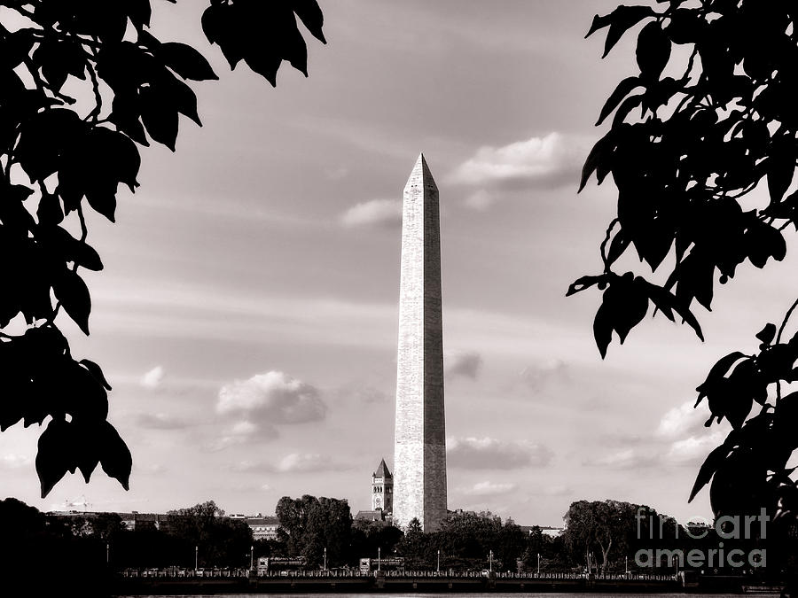 Majestic Washington Monument Photograph by Olivier Le Queinec