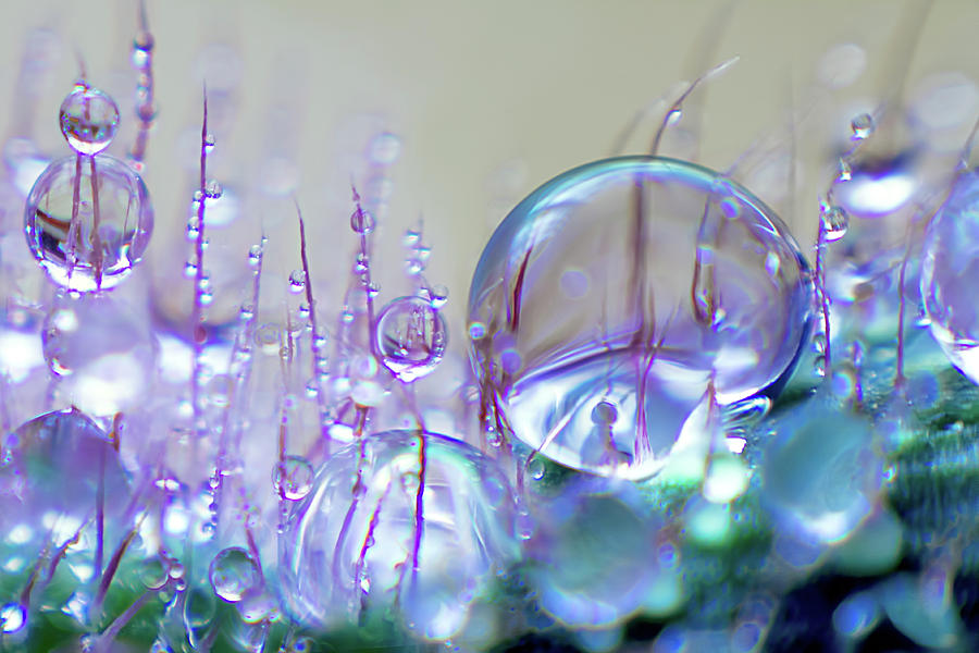 Water Drops Photograph by Mikroman6 Water Drops Photograph by Mikroman6
